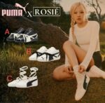 WhatsApp Image 2025-10-30 at 16.24.14